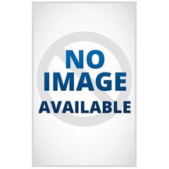 Private Rome a Private Novel –