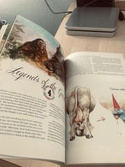 Gnomes by Wil Huygen 1979 Vintage 1st Edition Illustrated Paperback Book 12×8.25