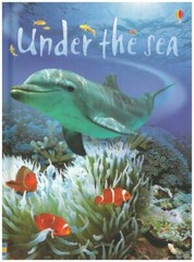 Under the Sea (Usborne Beginners) By Fiona Patchett. 97807460748