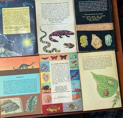 Lot Of 6 Vintage Golden Nature Guides-Small Booklets-Insets pest stars rock ETC
