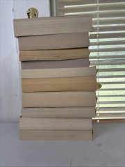 Lot of 10 – Mystery and Thrillers – Mixed Authors – FREE SHIPPING
