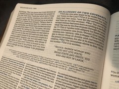 LSB Legacy Standard MacArthur Study Bible Genuine Leather Steadfast 316