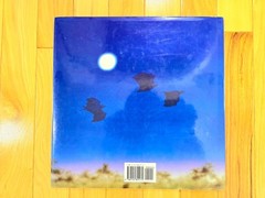 Stellaluna by Janell Cannon (1993, Hardcover Picture Book)