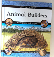 Animal Builders Cycles of Life David Stewart/ Sean Mine, Special Split Pages T29