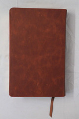 Tyndale NLT Giant Print Bible w/XL Thumb Index Brown Leather Unused PERSONALIZED