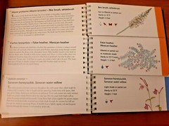 The Arizona Low Desert Flower Garden by Kirti Mathura 2007 HB Spiral Bound