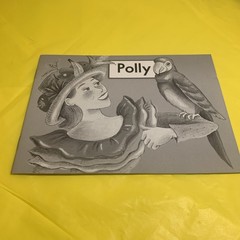 Polly Fountas and Pinnell Leveled Literacy Intervention Books