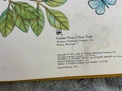 Wonderful Storybook by Margaret Wise Brown 1975