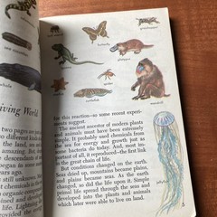 Lot Of 6 Vintage Golden Nature Guides-Small Booklets-Insets pest stars rock ETC