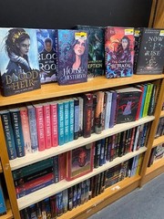 Lot of 10 Young Adult YA Books – Teen Fiction Novels Mixed Genres Bulk Lot