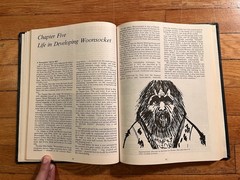 VINTAGE Woonsocket Highlights Of History 1800-1976 Dr. AP Thomas