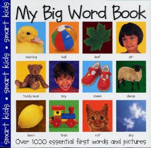 My Big Word Book (My Big Board Books) – Spiral-bound – ACCEPTABLE