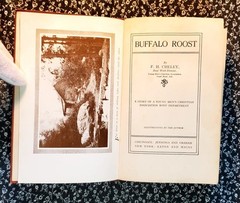 Buffalo Roost, F. H. Cheley, 1913, First Edition, Hardcover, Antique
