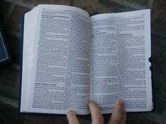 Cowhide KJV Bible ~ standard size ~Thumb Indexed ~ Genuine Leather ~ Red Letter