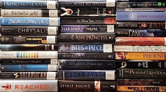 RANDOM MIX Lot of 25 Young Adults YA Teen ROMANTASY SCI-FI DYSTOPIAN PARANORMAL