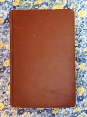 Buffalo Roost, F. H. Cheley, 1913, First Edition, Hardcover, Antique