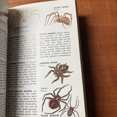 Lot Of 6 Vintage Golden Nature Guides-Small Booklets-Insets pest stars rock ETC