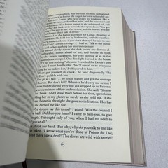 The Vampire Chronicles by Anne Rice Leather Collectible Edition Silver