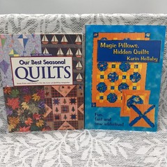 2 BOOK QUILTING COMBO~Magic Pillows, Hidden Quilts & Our Best Seasonal Quilts