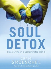 Soul Detox: Clean Living in a Contaminated World – Groeschel, Craig – Good -…