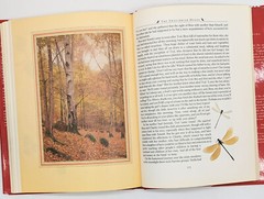 Still Glides The Stream by Flora Thompson, Illustrated US 1st Edition 1985 DJ/HC