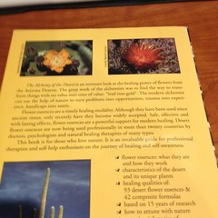The Alchemy of the Desert : a Comprehensive Guide Desert Flower Esse – VERY GOOD