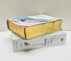 New The Jesus Bible NIV MultiColor Teal Leathersoft Comfort Print Ribbon Boxed