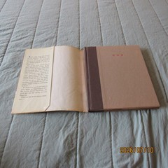 The Bad Dreams of a Good Girl-Susan Shreve-Diane deGroat-HC-DC-1982-Alfred Knopf