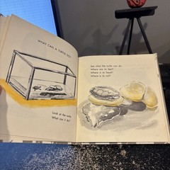 What is a Turtle [Hardcover] Gene Darby and Lucy and John Hawkinson 1959
