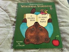 Wonderful Storybook by Margaret Wise Brown 1975