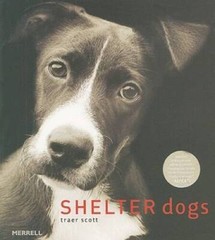Shelter Dogs – Paperback By Scott, Traer – GOOD