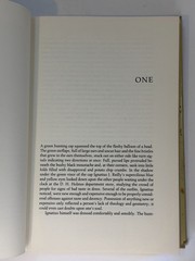 A Confederacy of Dunces 1980 LSU 4th Printing HC/DJ Toole Pulitzer 📖