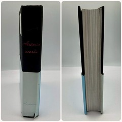 HIROMIX PHOTO BOOK HIROMIX WORKS Best Selection 5 Years 2000 Japan Art