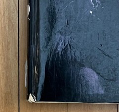 U2 – A Diary by Matt McGee Illustrated Softcover Pictorial Omnibus Press (2008)