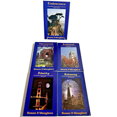 Rare 5 x I Left My Heart In San Francisco Book Series 3 4 5 6 7 Susan X Meagher