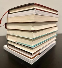 Paul David Tripp 9 Book Lot (New Morning Mercies, What Did You Expect, Lead etc)