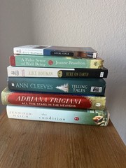 Lot Of Six Novels By Alice Hoffman, Ann Cleeves, Jennifer Haigh and more