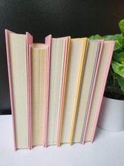 Light Pink Book Bundle: Girly Room Decor- Set of 6 Hardcover Books
