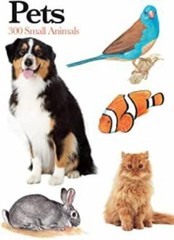 Pets: 300 Small Animals (Mini Expert Guides)