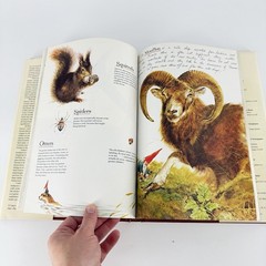 Gnomes by Poortvliet Huygen 1977 HCDJ Hardcover DJ Vintage 70s Coffee Table Book