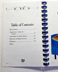 Family Recipes Cookbook Jewish Adoption & Foster Care 2009 Florida 112 Pages +