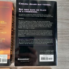 Christian Fiction Lot of 10 Trade Paperbacks Ted Dekker Wm. Paul Young Davis