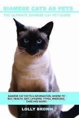 Siamese Cats as Pets: Siamese Cat Facts & Information, where to buy, health,…