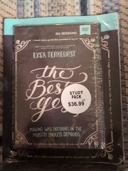THE BEST YES STUDY GUIDE WITH : MAKING WISE DECISIONS IN By Lysa New Sealed