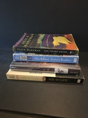Lot of 4 Alice Hoffman Books Novels
