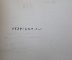 Vintage Book Steppenwolf Hermann Hesse 1963 Vintage PB Rinehart Editions