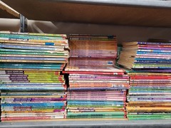Bailey School Kids – Choose Your Own Books Set