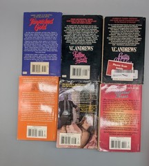 Lot Of 21 VC Andrews Paperback Books Various Series Mix