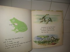 What is a Frog/ 1957/ Gene Darby/ Hawkinson/ Benefic Press