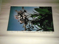 PHILIPPINES HARDCOVER BOOK 17 X 12 X 2-1/4 CHESNOFF 13 LB ABRAMS NATION TREASURE